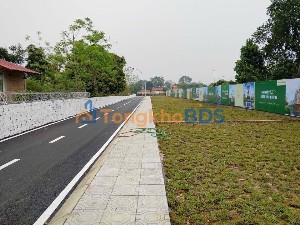 Đất Vàng Ba Vì 100m² - Sát ĐHQG, Pháp Lý Sổ Đỏ, Giá Tốt