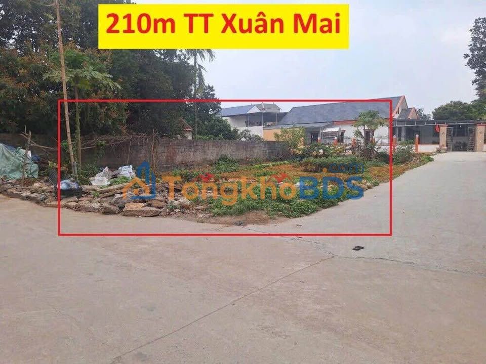 Đất Lô Góc 210m² Xuân Mai, Chương Mỹ - Sổ Hồng Sẵn Sàng Giao Dịch