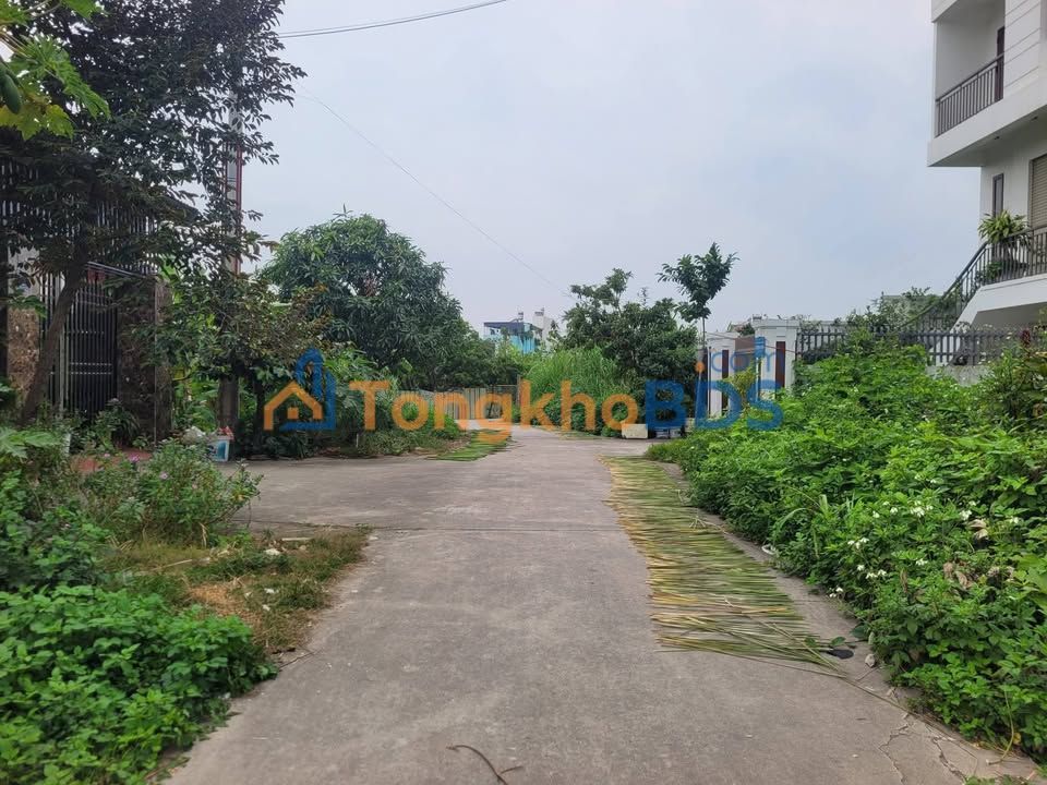 Đất nền 100m² Bạch Mai, Hải Phòng - Sổ đỏ chính chủ, giá tốt