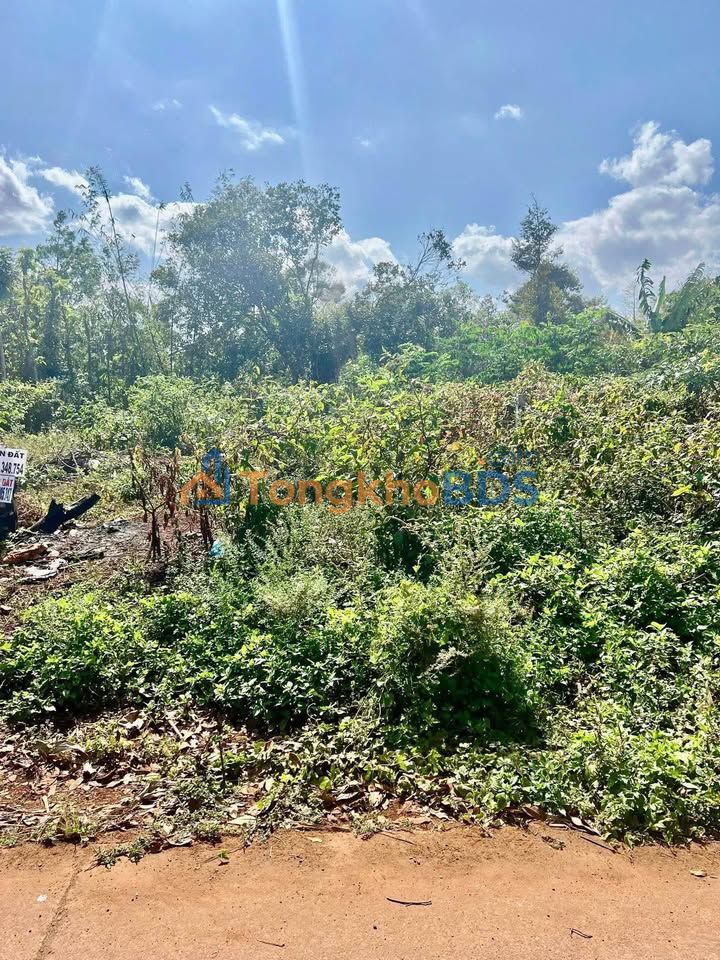 Đất Vàng Buôn Ma Thuột - 125m² Gần QL14, Sẵn Sổ Hồng, Giá Chỉ 1.45 Tỷ