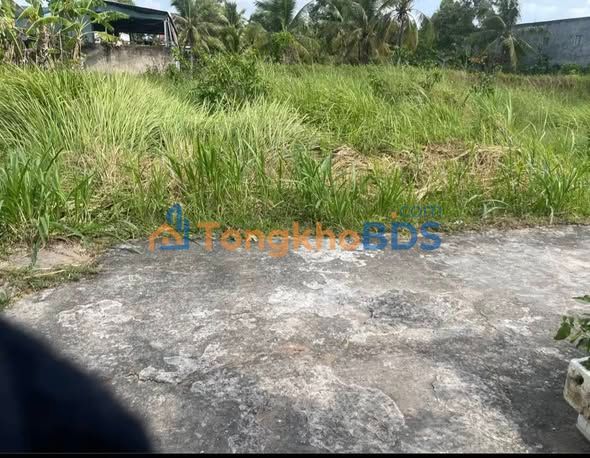 Bán Nền Thổ Cư 105m² Đường Hoa Lâm, Bến Tre - Giá 580 Triệu