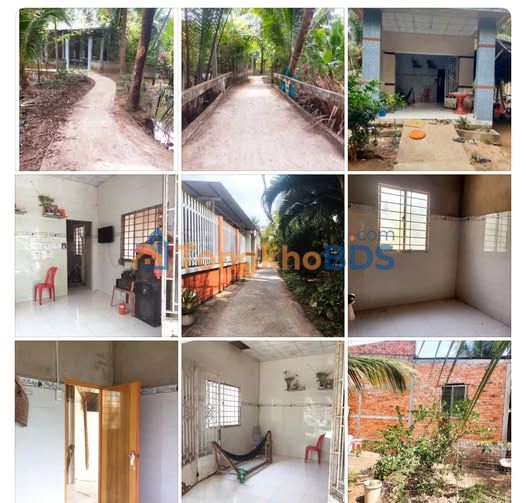 Bán Gấp Đất Vườn 980m² Phường An Hội, Bến Tre - Sổ Đỏ Cây Lâu Năm