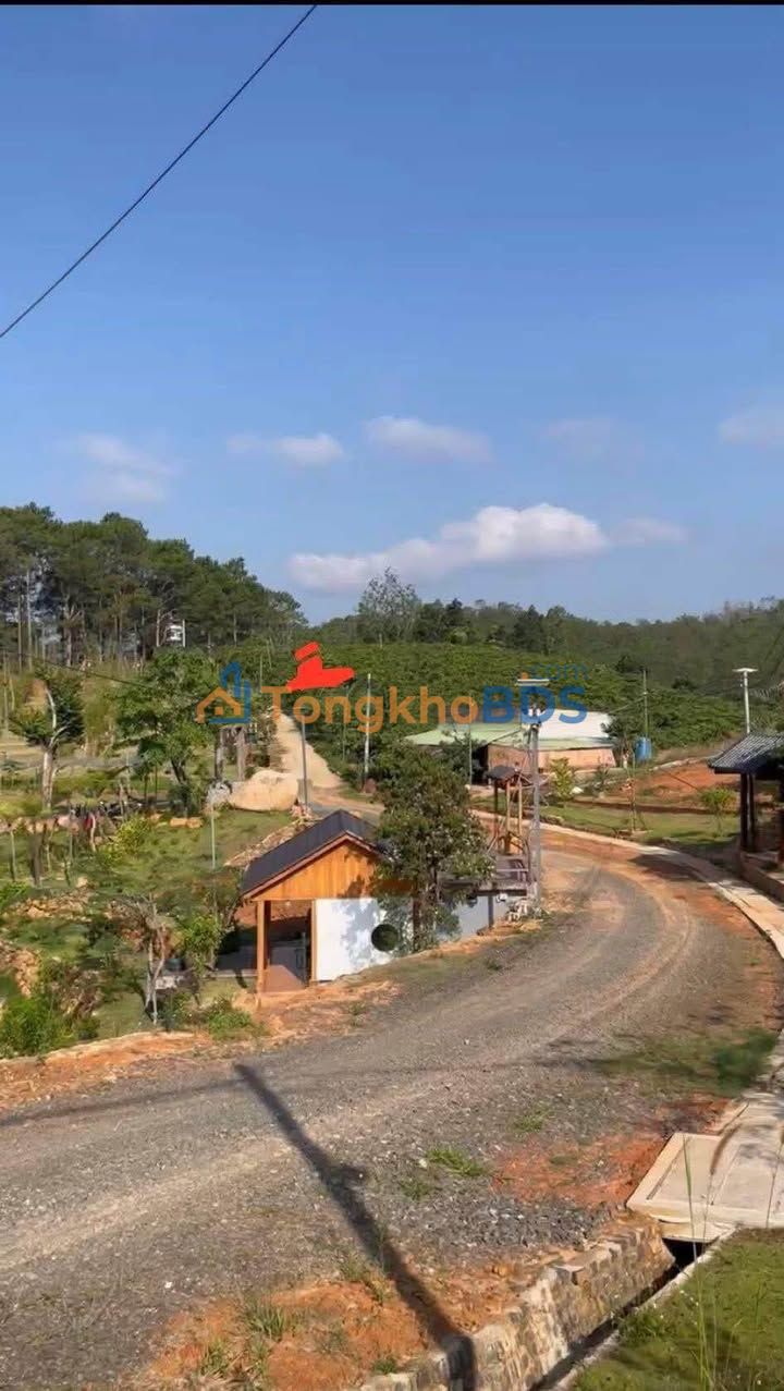 Bán Gấp 9000m² Đất Trồng Cà Phê Mặt Tiền Đường Bê Tông, Bảo Lâm - 5.1 Tỷ