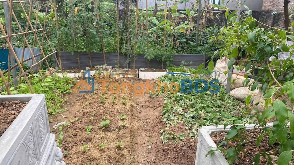 Bán Đất Thổ Cư Mê Linh 75.6m² - Sổ Đỏ Vuông Vắn, Giá 2 Tỷ