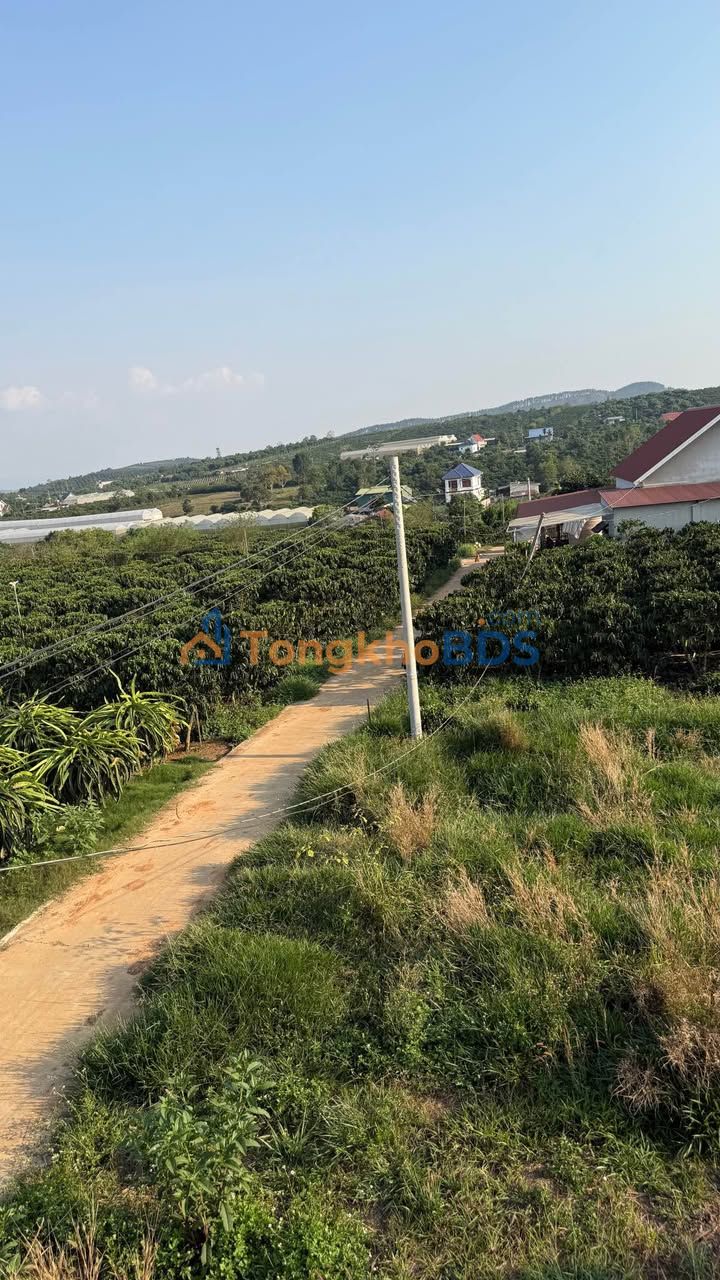 Đất Nền Nam Hà Lâm Hà 1000m² Sổ Đỏ - Giá Đầu Tư 1.5 Tỷ