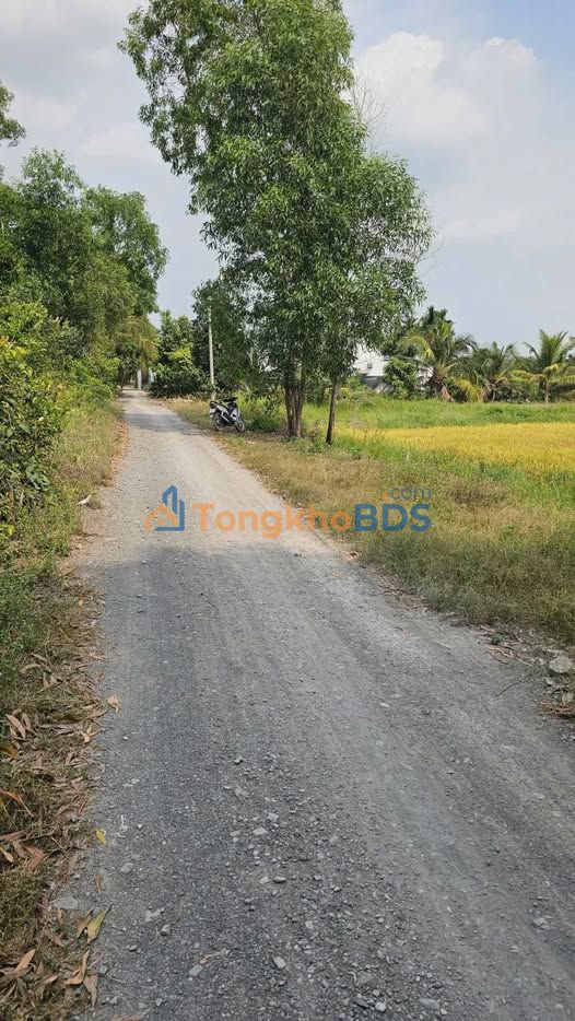 Đất nền Hựu Thạnh, Đức Hòa 110m² - Sổ hồng sẵn, giá 650 triệu