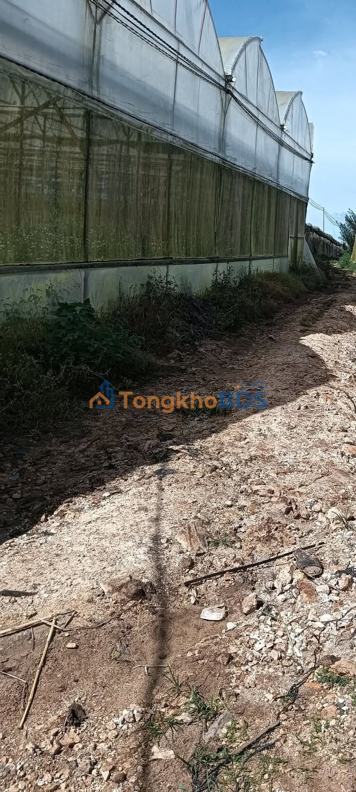 Bán đất farm 10000m² Xã Quảng Lập, Đơn Dương - Giá 6.1 Tỷ