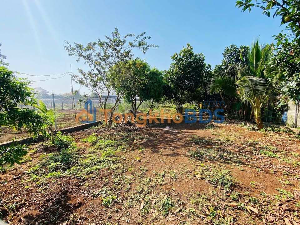 Đất Vườn Cây Ăn Trái 582m² Mặt Tiền Phan Đình Phùng - Giá 3 Tỷ