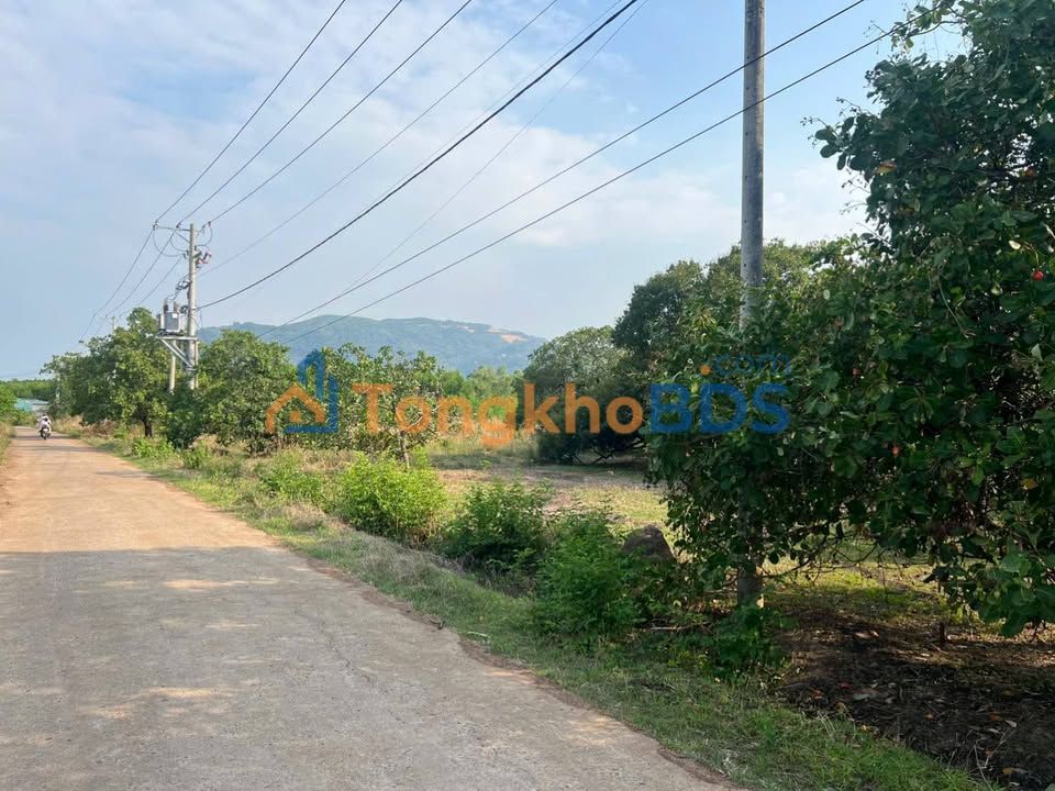 Đất nền Xuân Lộc, Đồng Nai 18.000m² - Mặt tiền 34m, tiềm năng farmstay