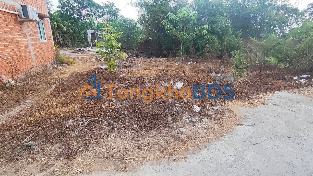 Bán Gấp 2 Nền Đất 100m² Mặt Tiền Đường Dal 3m, Châu Thành, Trà Vinh - Giá 300 Triệu