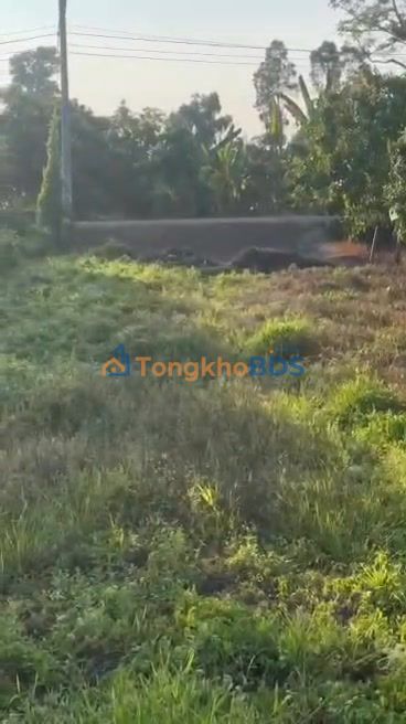 Đất Nền 190m² Mặt Tiền Tỉnh Lộ 864, Cái Bè, Tiền Giang - Giá Tốt 800 Triệu