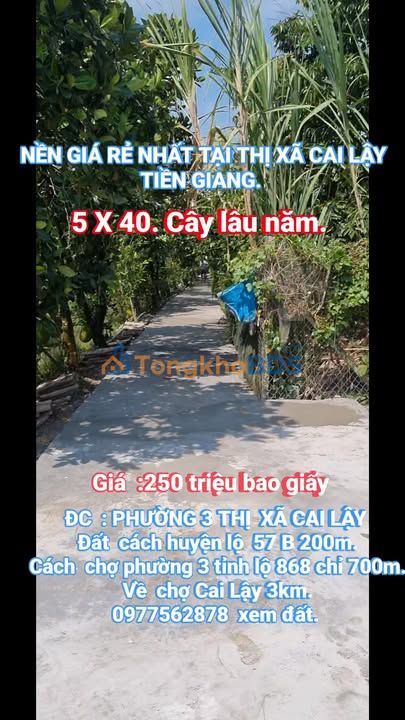 Đất Nền Phường 3 Cai Lậy 200m² - Sổ Cây Lâu Năm, Xây Dựng Tự Do