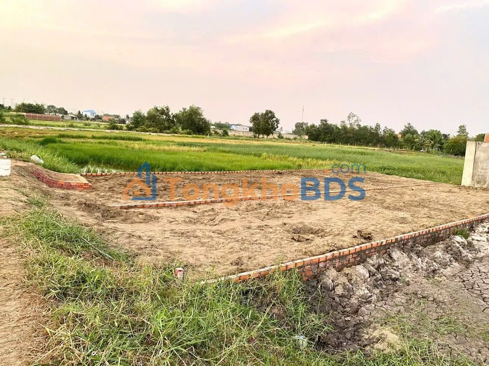 Đất nền Sổ hồng riêng 105m² Đức Hòa - 790 triệu, sẵn sàng xây nhà!