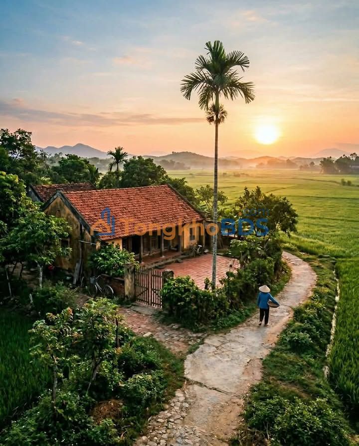 Đất Vành Đai 3 Hóc Môn 2660m² - Giá Đầu Tư 2.6 Triệu/m²