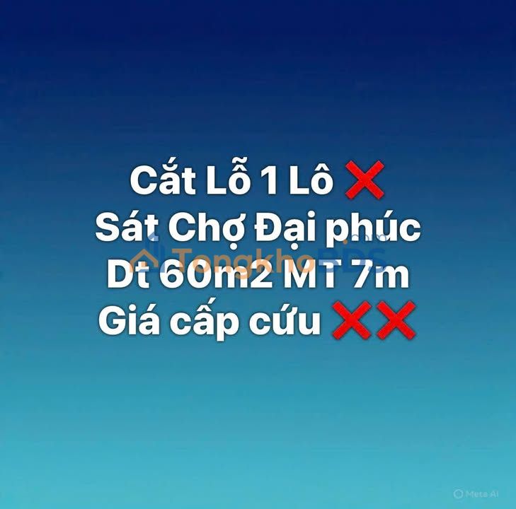 Đất Nền 60m² Phường Đại Phúc, Bắc Ninh - Sổ Đỏ Sẵn Sàng