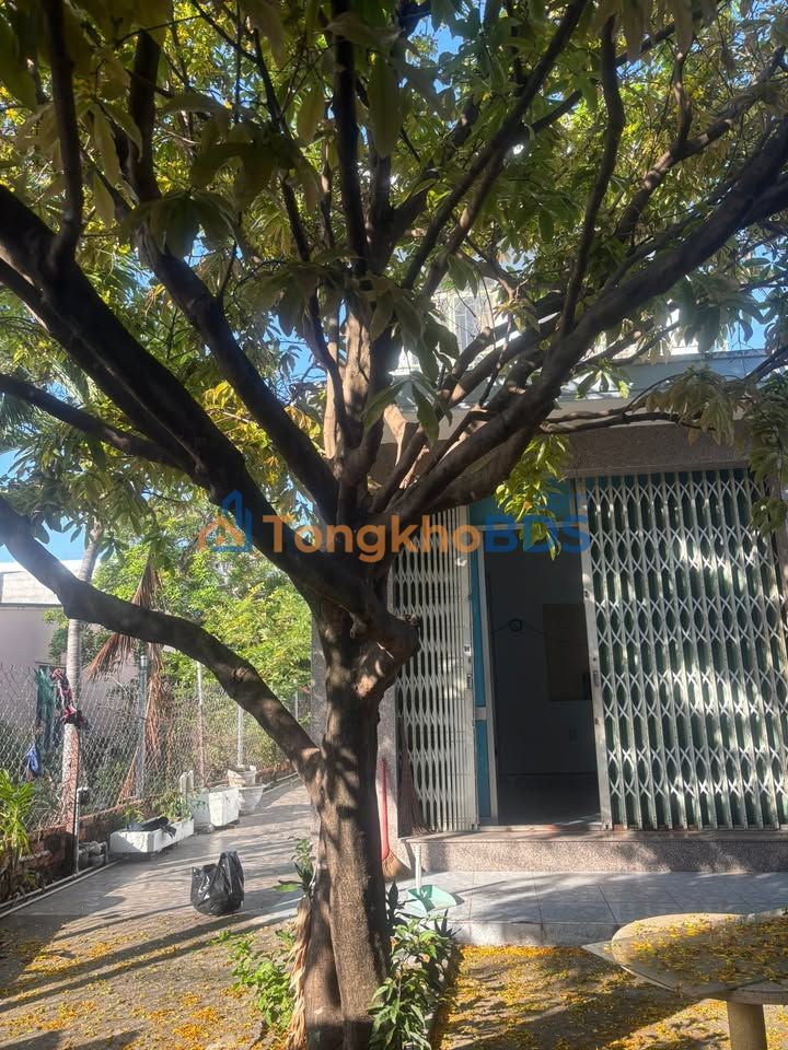 Bán Đất Vàng 160m² Phước Long, Nha Trang - Giá Tốt