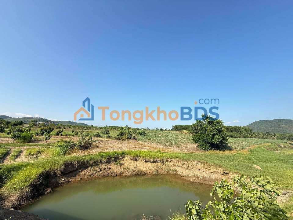 Bán Gấp Đất 100m² Phường Ninh Thủy, Ninh Hòa - Giá Tốt Đầu Tư