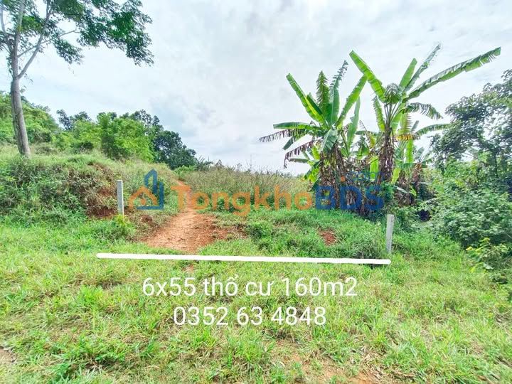 Đất Nền Đồi Pháo, Gia Nghĩa 160m² - Sổ Đỏ Sẵn Sàng, Giá 580 Triệu