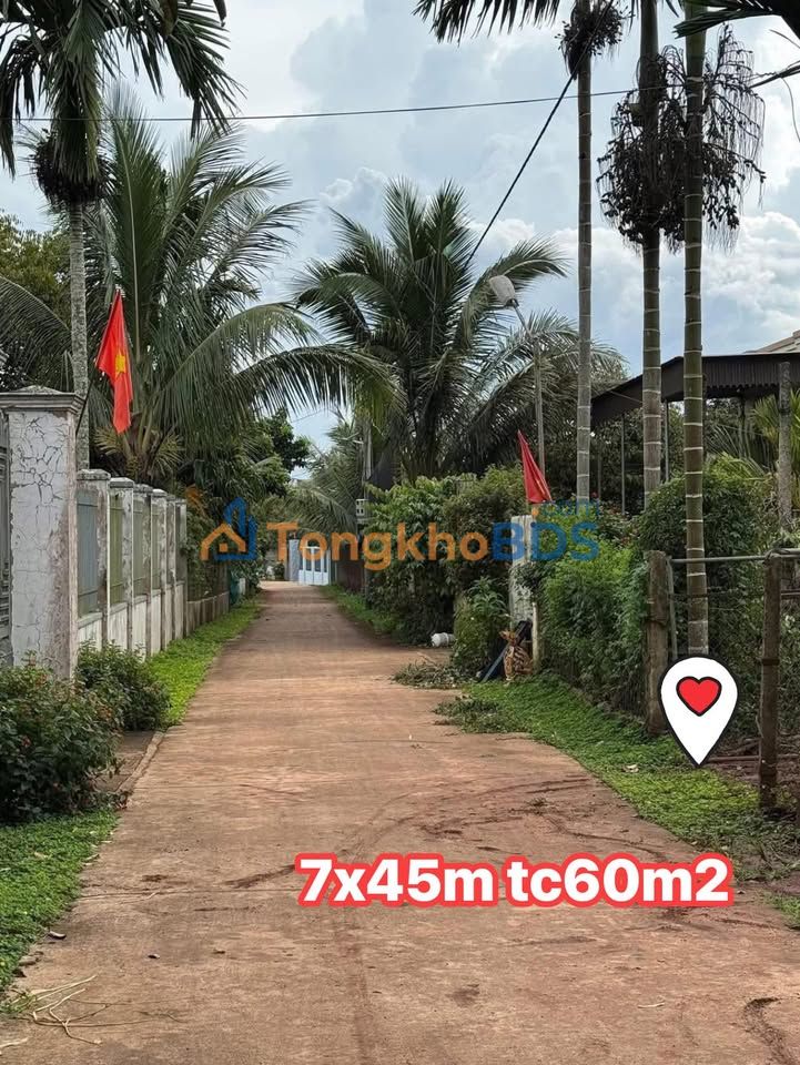 Đất Nền Pơngdrang, Đắk Lắk: 315m² Sẵn Thu 8 Cây Sầu Riêng - Giá 1.55 Tỷ