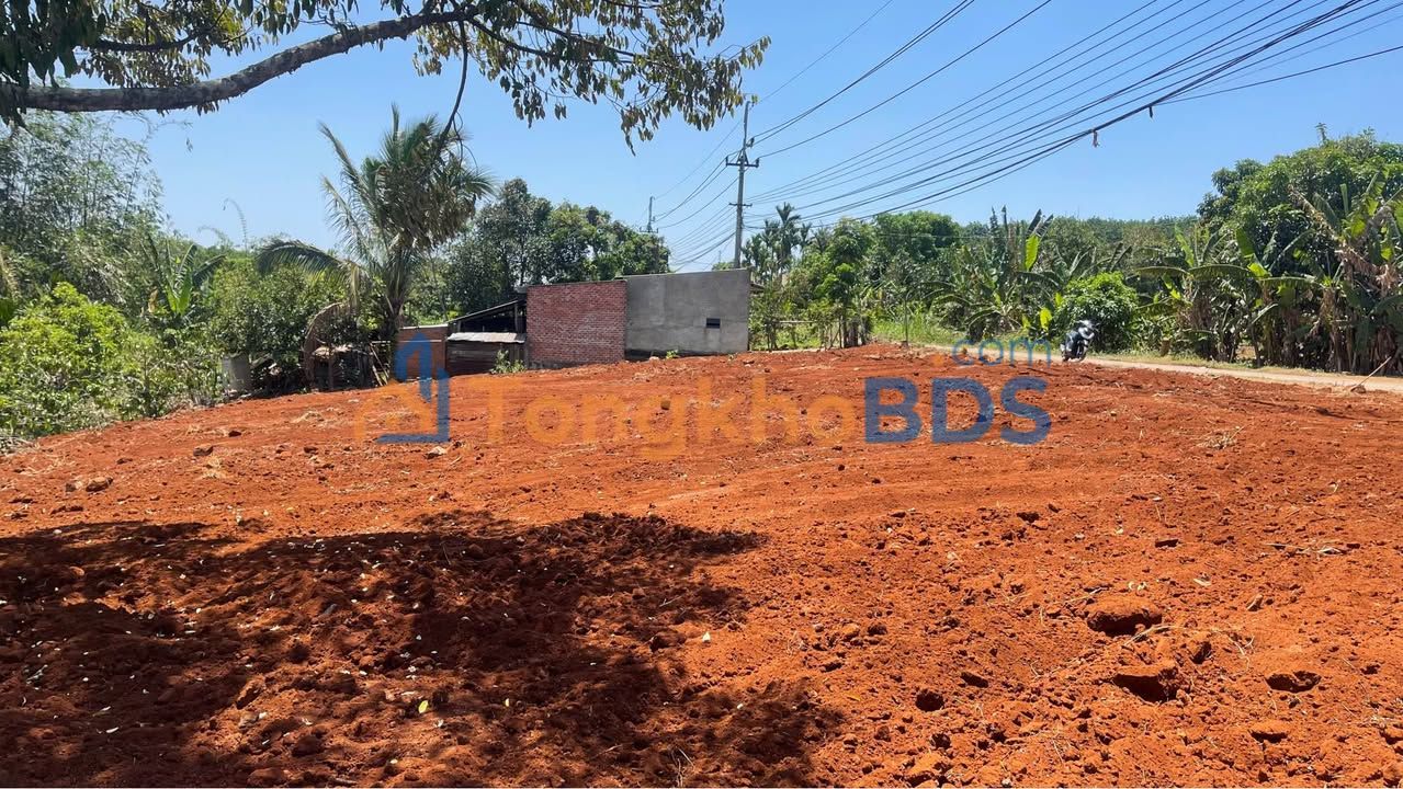 Đất Vườn Đắk Lắk 3000m² - Mặt Tiền Rộng 48m - Giá Tốt 2.3 Tỷ