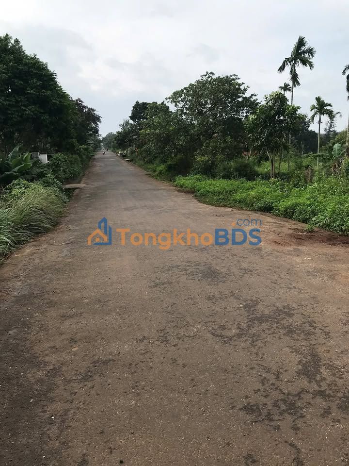 Đất nền KOMLEO, Buôn Ma Thuột - 280m² Hướng Đông, Giá 2.25 tỷ - Đầu tư sinh lời