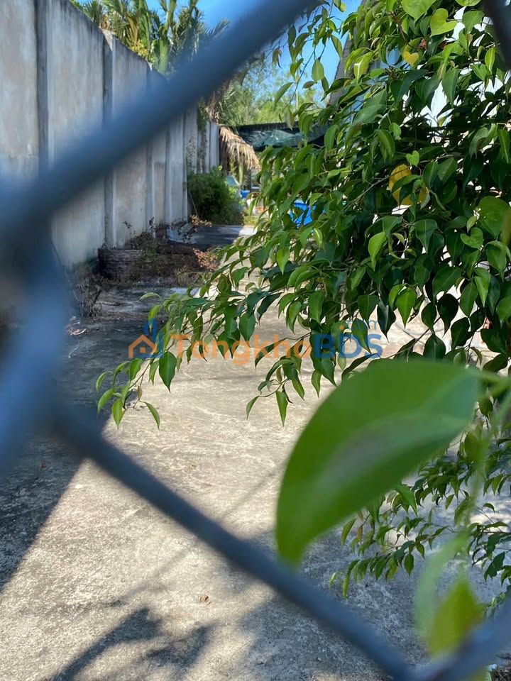 Đất Thổ Cư 106m² Phường An Hội, Bến Tre - Giá 700 Triệu, Sẵn Sàng Xây Dựng