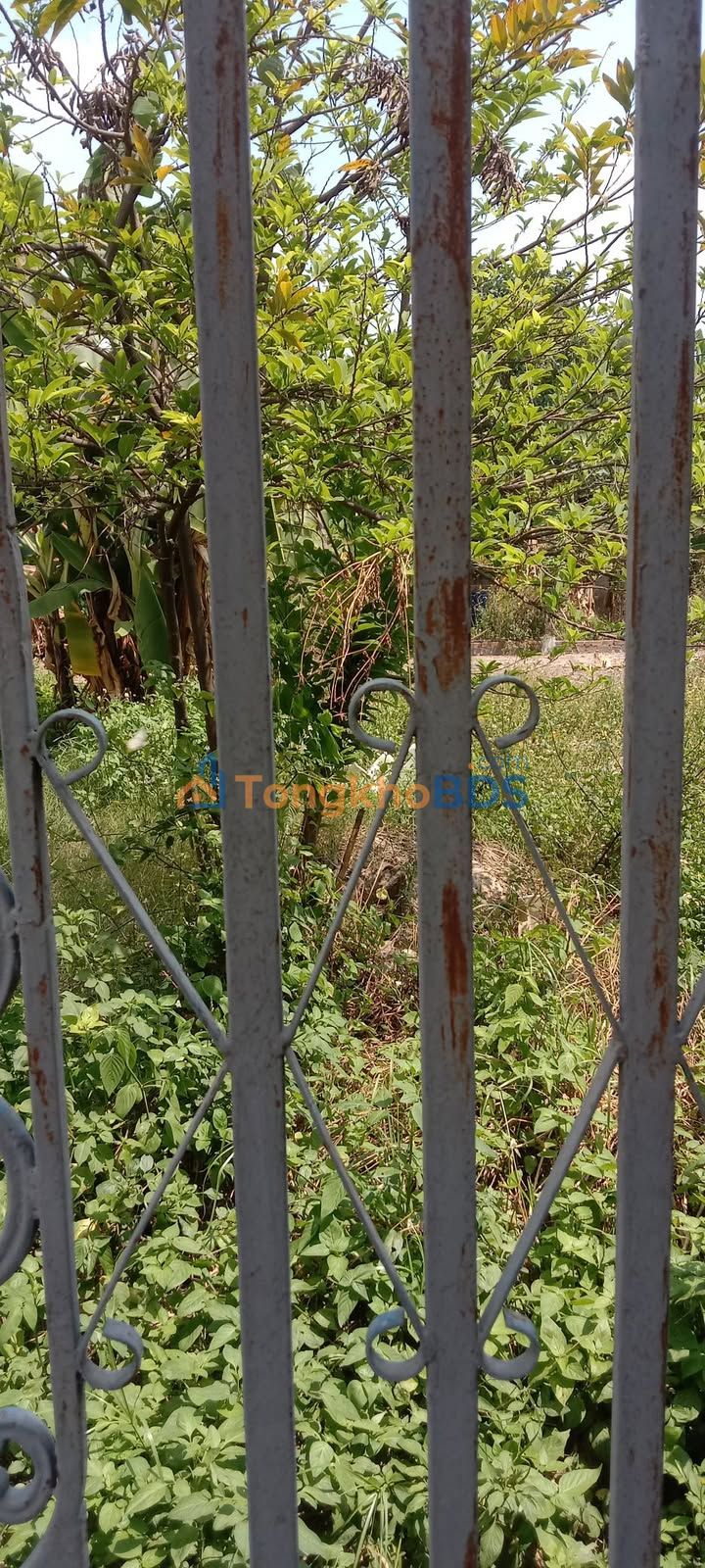 Bán Đất Chính Chủ Đường Huỳnh Thị Na, Quận 12 - 100m² Giá 1 Tỷ