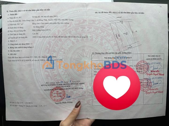 Bán Gấp Đất Hồng Thái Việt Yên 99.7m² Full Thổ Cư - Sẵn Sàng Xây Nhà