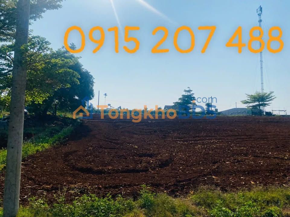 Đất Nền Đà Lạt 100m² Sổ Riêng - Hơn 800 Triệu