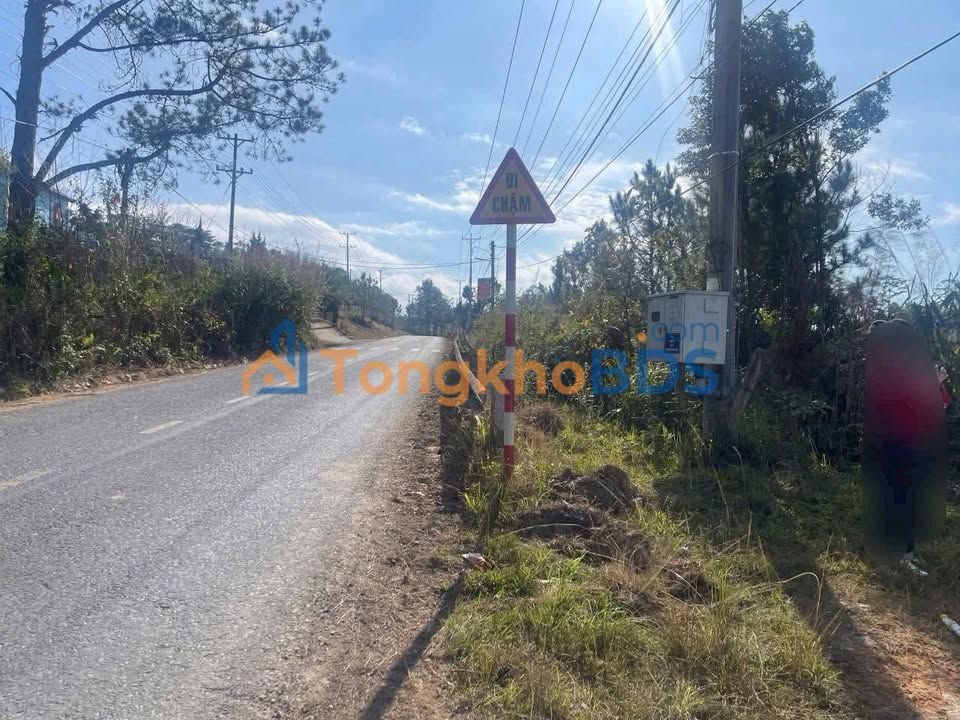 Đất Mặt Tiền Kinh Doanh Phường Lang Biang, Đà Lạt - 700m² Giá Tốt