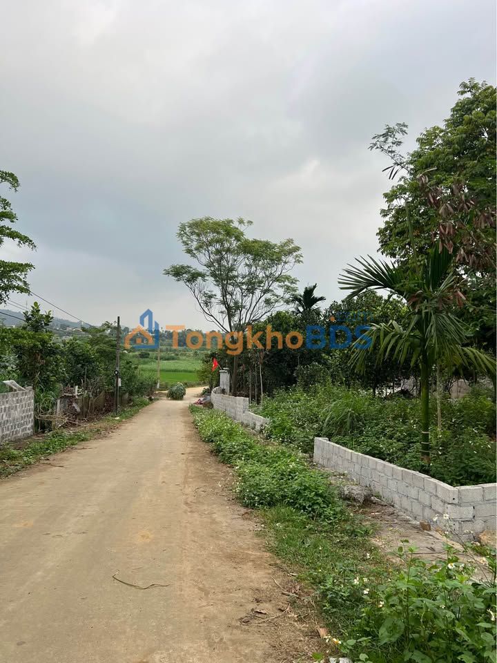 Đất nền Ba Vì 600m² - Lô Góc View Thoáng, Tiềm Năng Nghỉ Dưỡng