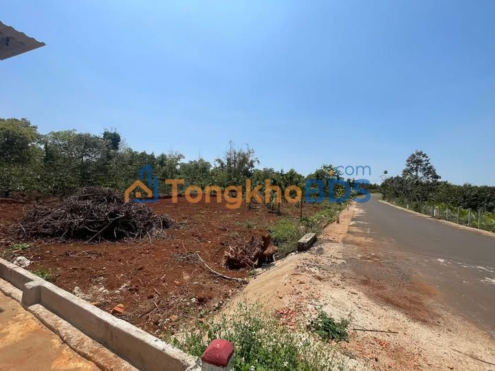 Đất Nền Buôn Ma Thuột 135m² - Mặt Tiền Trục Chính 24m, Giá Đầu Tư 1.09 Tỷ