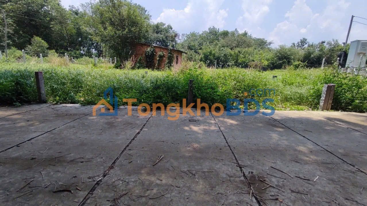 Bán đất Phú Hòa Đông Củ Chi 91m² - Mặt tiền đường xe hơi, sổ hồng sẵn