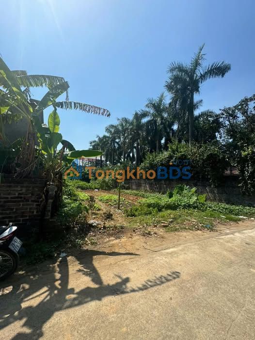 Bán đất thổ cư Quốc Oai 515m² - Sổ đỏ sẵn sàng, đầu tư sinh lời