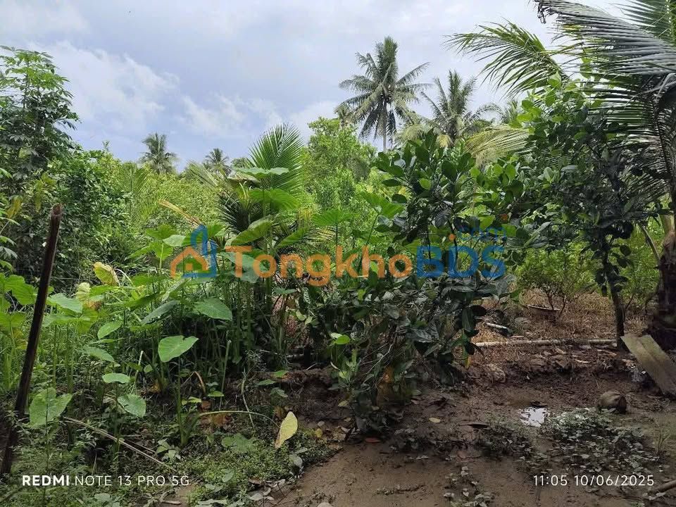 Đất Hưng Khánh Trung B, Bến Tre 1100m² - Giá Tốt 600 Triệu