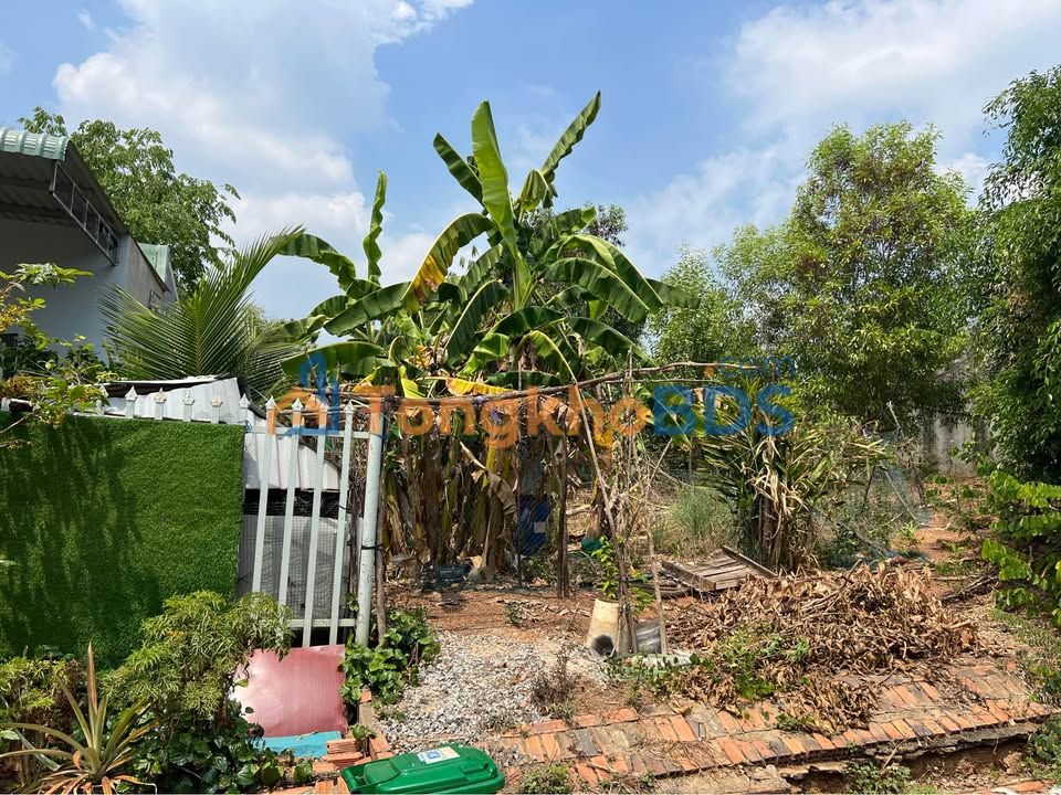 Đất Nền Mặt Tiền Trục Chính Đồng Xoài - 220m² Giá 1.05 Tỷ