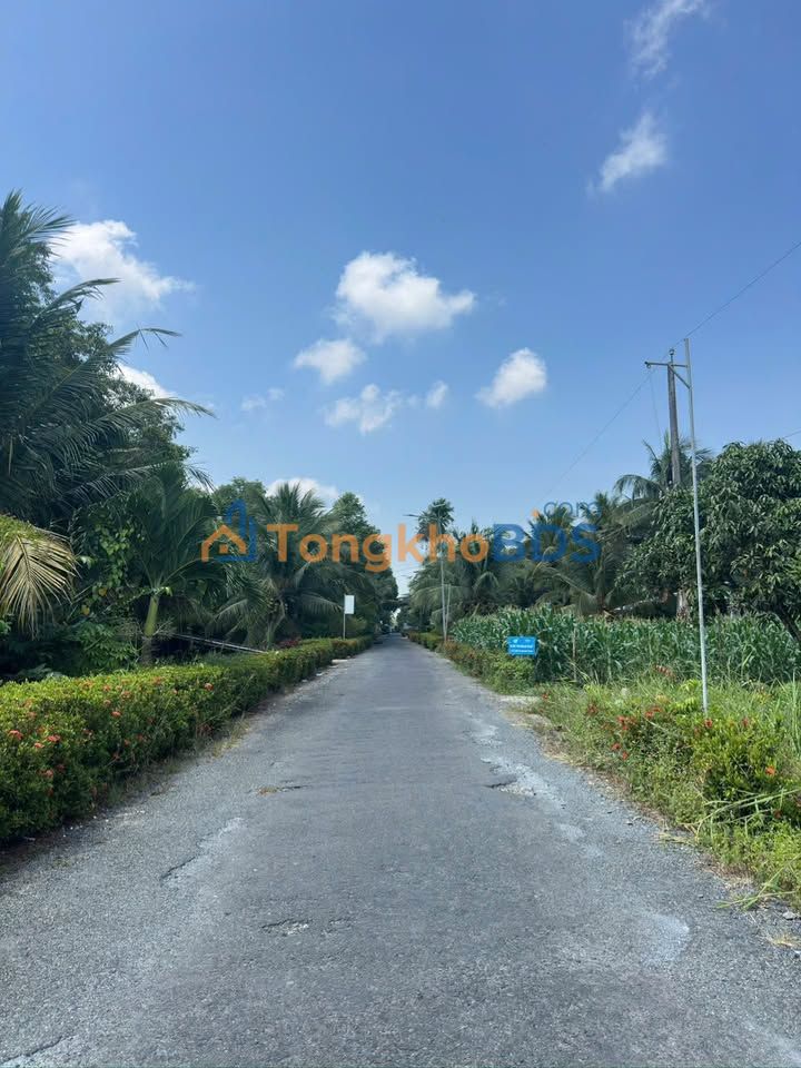 Đất Vị Thanh Hậu Giang: 1140m² Mặt Tiền Đường 19/8 - Giá 999 Triệu