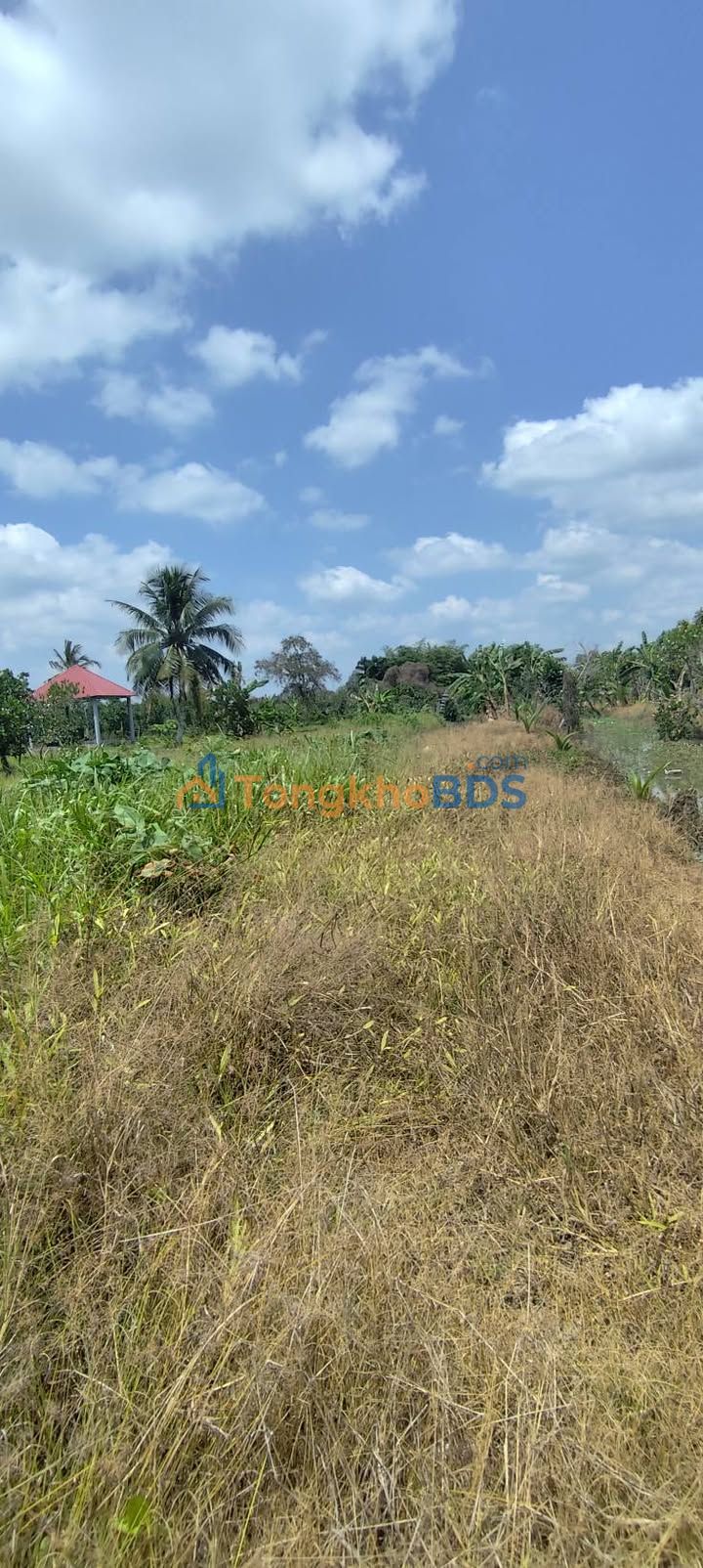 Đất Nền Phước Hòa 800m² - Sổ Đỏ CLN - Giá Đầu Tư 980 Triệu