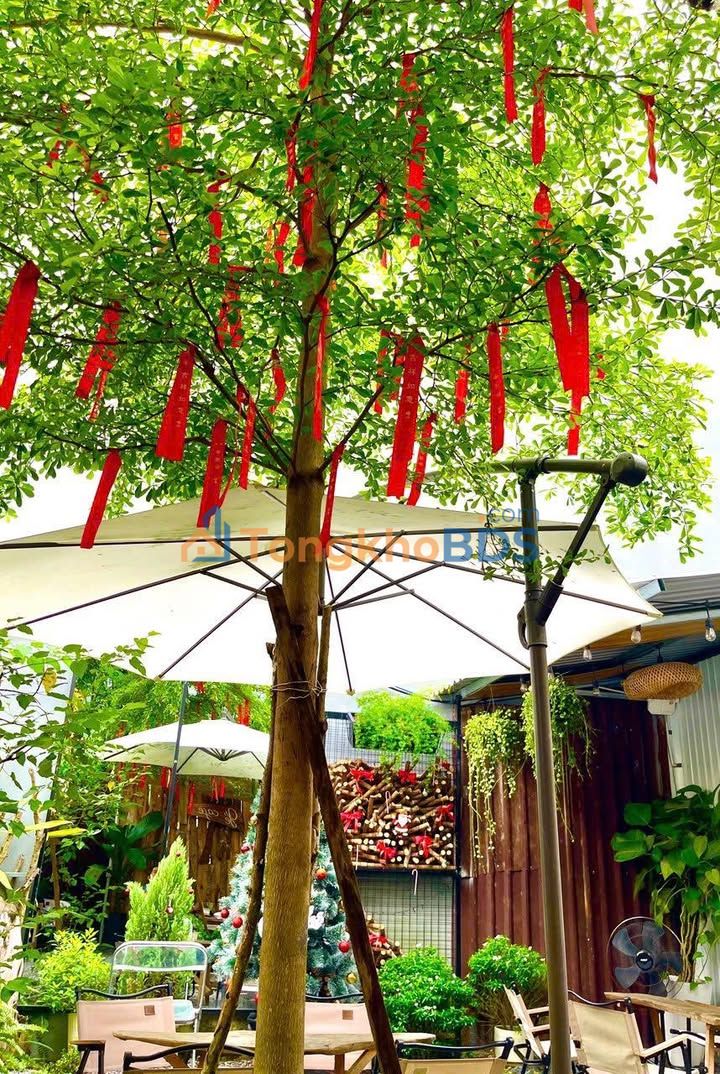 Nhà 4x16m KDC 91B Cần Thơ - Giá 4.3 Tỷ - Sẵn Sàng Về Ở