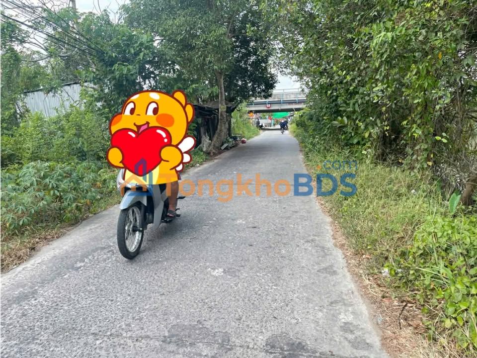 Bán Nền Thổ Cư Mặt Tiền Trần Nam Phú, Cần Thơ - 80m² Giá Chỉ 399 Triệu