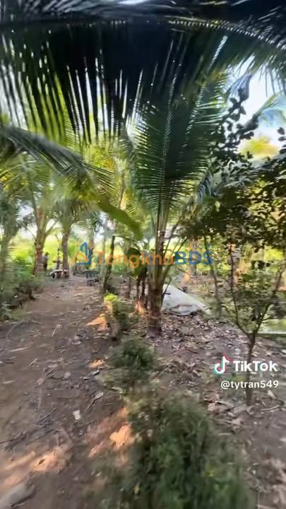 Bán Đất Vườn Tặng Nhà Cấp 4 - 2.6 Tỷ - 2600m² Cần Thơ