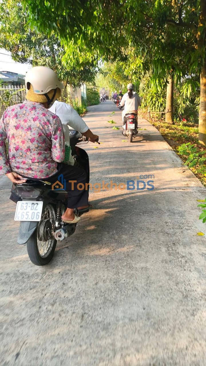 Đất Nền 175m² Sổ Thổ Cư Giá 530 Triệu Tại Cai Lậy, Tiền Giang