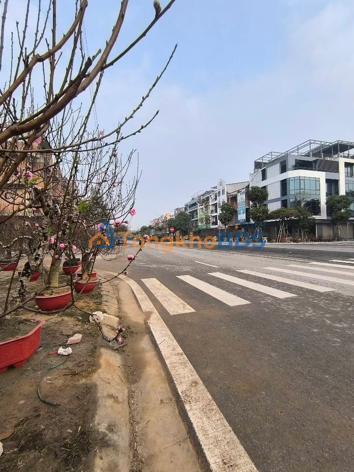 Bán đất sổ hồng mặt đường Csep, TP Thanh Hóa - 100m² Hướng Đông Nam