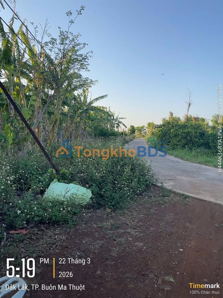 Bán Gấp Đất Rẻ 3600m² Xã Hòa Khánh, Buôn Đôn - 450 Triệu