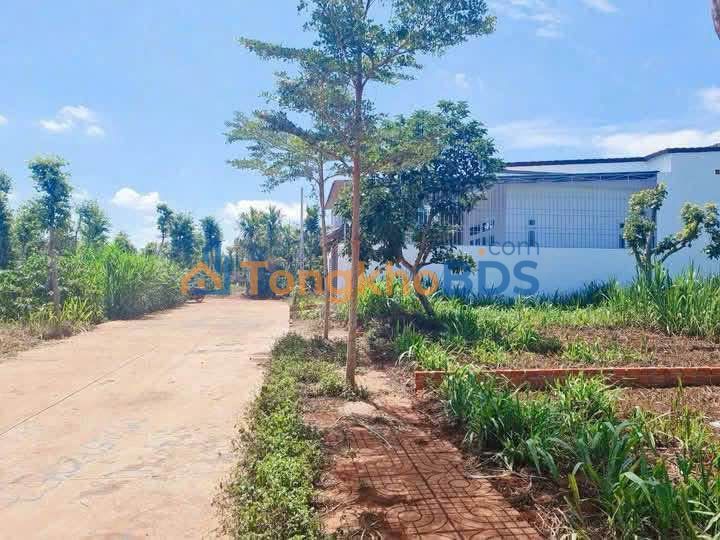 Bán Đất Nền 135m² Thôn 1 Hòa Thuận - Giá 695 Triệu, Sổ Hồng Sẵn