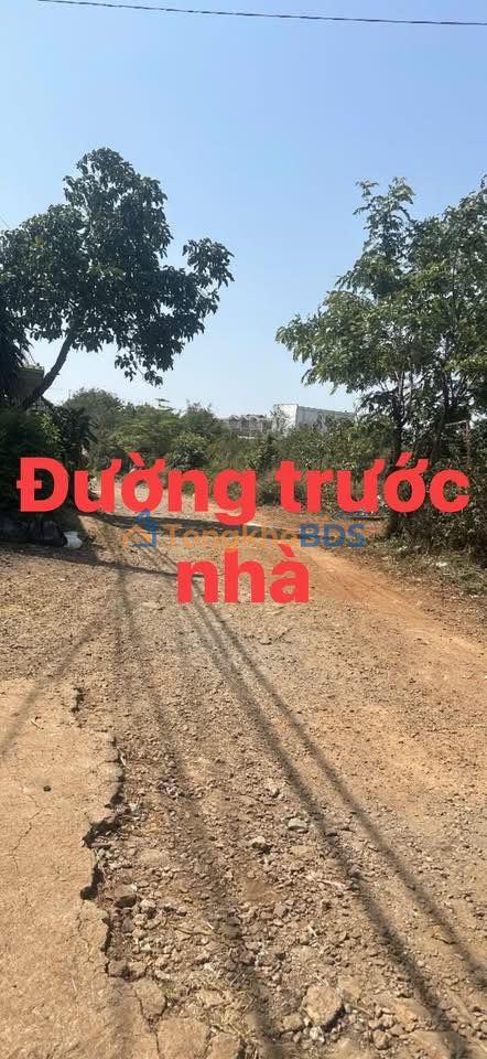 Bán Gấp Trang Trại 150m² Mặt Tiền Hẻm 189 Trần Quý Cáp, Buôn Ma Thuột - Giá 1.5 Tỷ