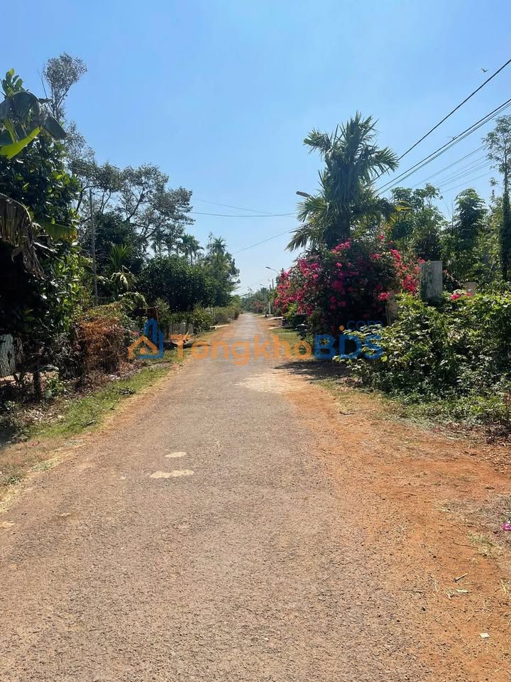 Đất Nền 120m² Buôn Ma Thuột - Mặt Tiền Đường Nhựa, Giá 3 Tỷ