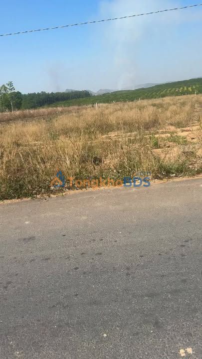 Bán đất nền Ea Súp Đắk Lắk 1680m² mặt đường liên xã - Giá đầu tư 420 triệu