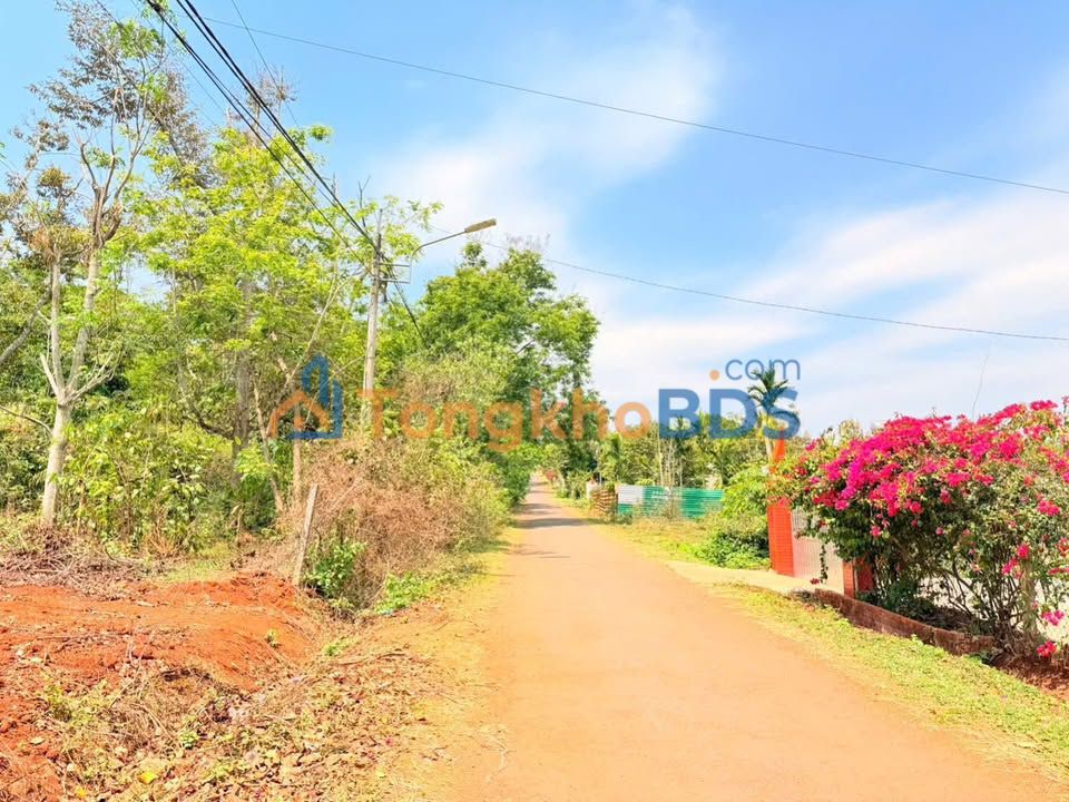 Đất nền Buôn Komleo, Krông Búk - 500m² Thổ cư, Mặt tiền 8m - Giá đầu tư 1.125 tỷ