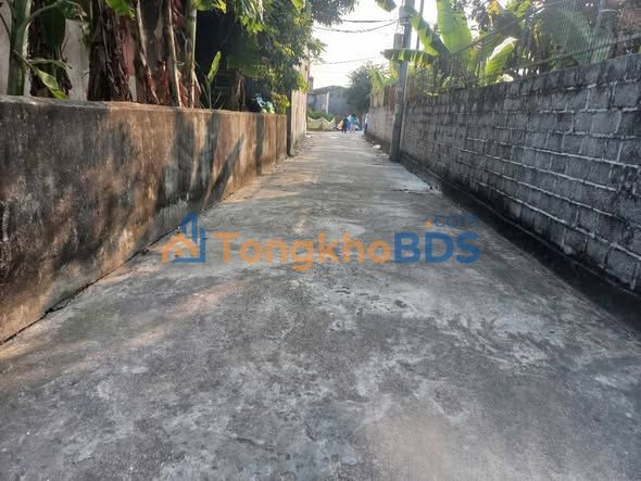 Đất nền Cẩm La - Kiến Thụy 100m² - Lô Góc Vượng Khí, Giá Tốt